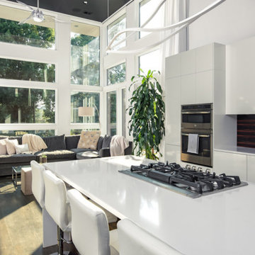 Gillingham Strauss Residence by Dialect Design, LLC