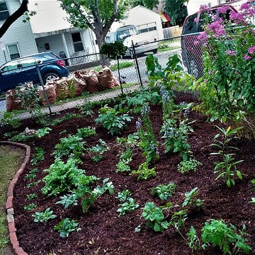 2017 Saratoga Woodland Garden Sheinski