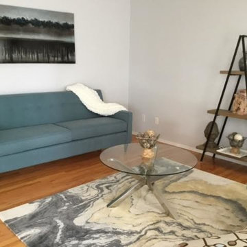 Contemporary Living Room Home Staging