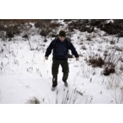 Hal Hodson's photo