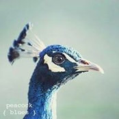 Foto de 莊君琳

