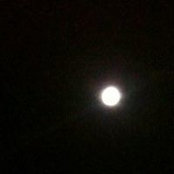 Özge Külahçı's photo