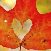 Stephanie Hill's photo
