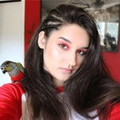 Foto von Yael Musser