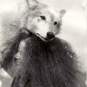 Foto von Barbara Kadesky