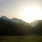 Joanna Murphy's photo