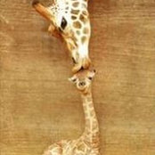 Anna-Liisa Duncan's photo
