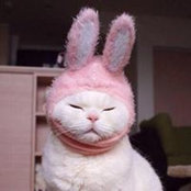 Joo Kang's photo
