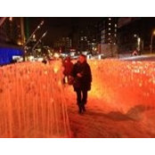 Catherine Noppen's photo