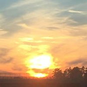 Susan Byrd's photo