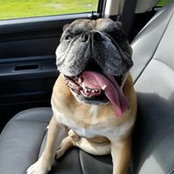 Bobby Wachter's photo