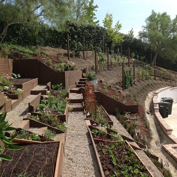 San Juan Capistrano Vineyard + Orchard