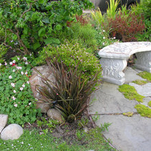 Front yard bench
