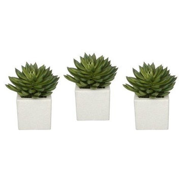 Artificial Green Pointed Echeveria in White Sandy-Texture Cube Ceramic Trio