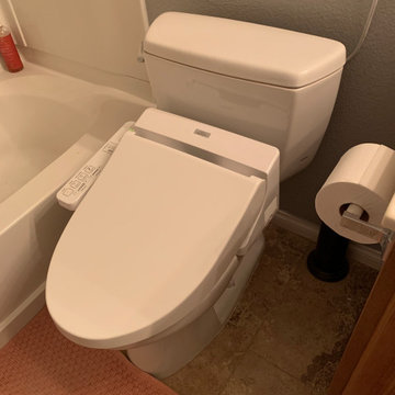 Bidet toilet seats