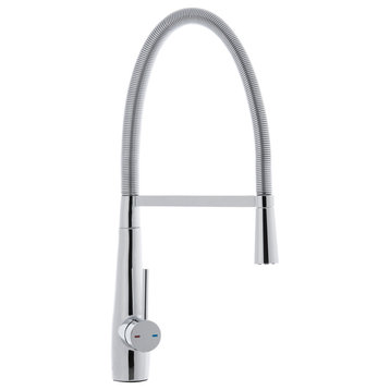 Safavieh Rhapsody Single Control Dual Function Stainless Steel Kitchen Faucet