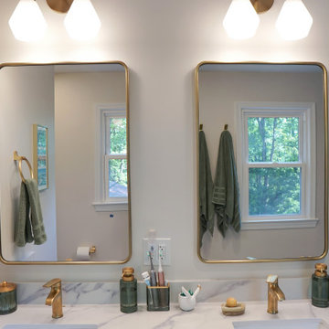 Bathroom Remodel (Journey) - Springfield, VA