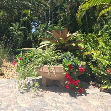 Pots for Pool Area