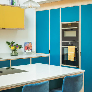 Blue Plywood Kitchen