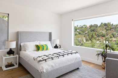 Bedroom - contemporary bedroom idea in Los Angeles