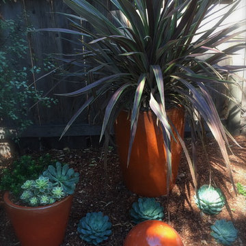 Albany Dog Friendly Garden