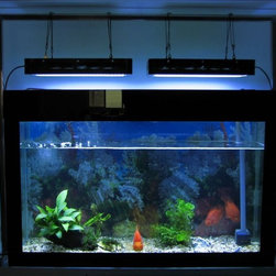 LED Aquarium Light - Products