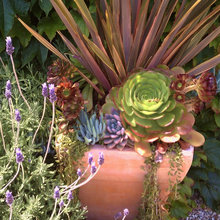 Investment Project Landscaping Ideas
