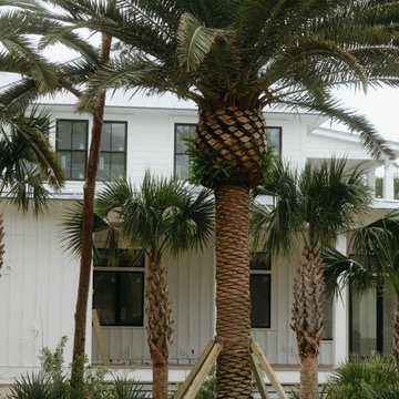 Palm Garden