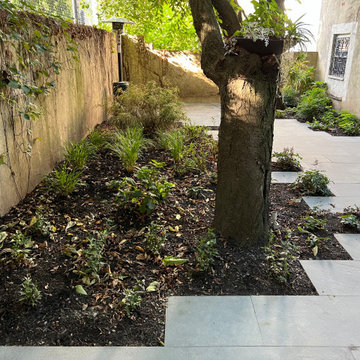 Modern Urban Shade Garden
