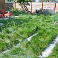 plants / grasses