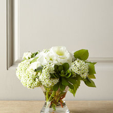 Decor - Accessories