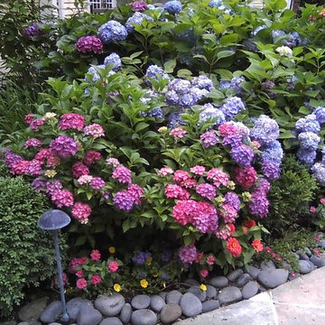 Patio bed