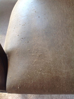 Repair cat scratched leather chairs?