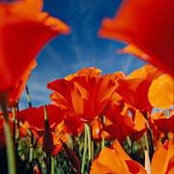 Ana Paula Pelayoさんの写真