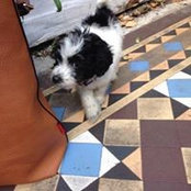 Foto von Donna Griss