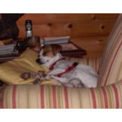 Grace Mooney's photo