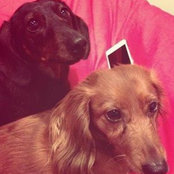 Phyllis Sanchez-Metz's photo