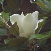 Melanie Norberg's photo