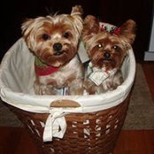 Kimberly Fox's photo