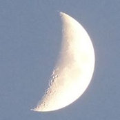 Foto von Kim Williams