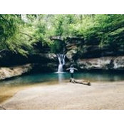 Cat Sareini's photo