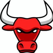 Los Bulls's photo