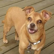 Kristie Shew's photo