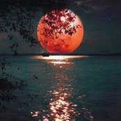 Erika Campbell's photo