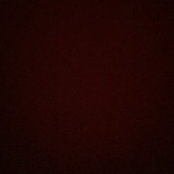 Brant Fischer's photo