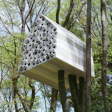 Exterior, Landscape