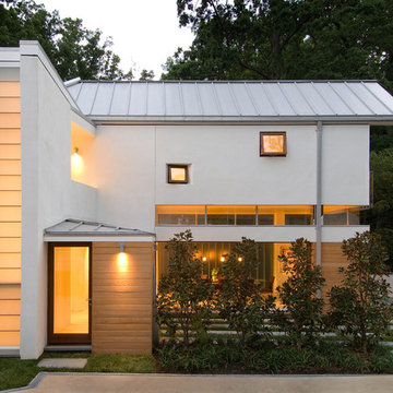 Tree House