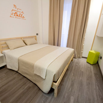 B&B Nicadomus
