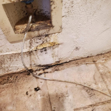 Water Damaged Apt Kitchen Floor Renovation