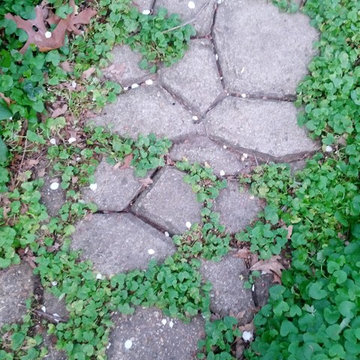 Charming Walkway